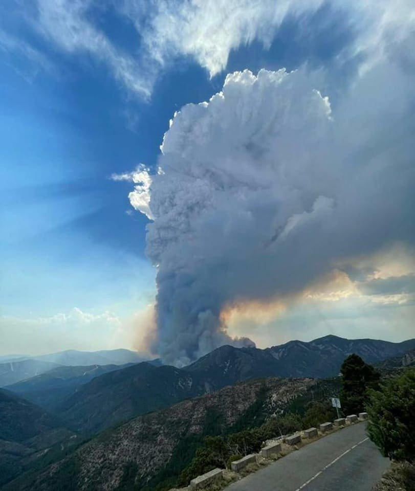 La Junta solicita el apoyo de la UME por un grave incendio en Las Mestas