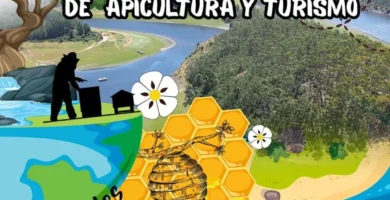 La XI Feria Internacional de Apicultura y Turismo de Las Hurdes (APITHUR 2025)